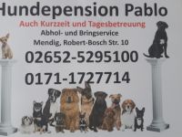 Hundepension Pablo