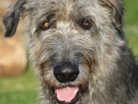 Precious Power Cathal