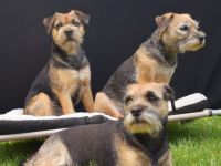 von den Border Geistern