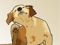 Tierheilpraxis Annette Dragun