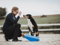 Rebecca Lutz - Vetphysio +