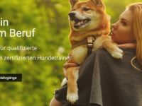 Ausbildung zum Hundetrainer