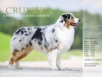 Malpao´s Cruise Control "Cruiser"