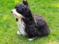 Henrico San Christobal de la Habana