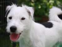 Greek-Summer Quinllan