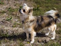 von der Palmengrotte