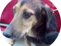 FELÖSKE -  OMA AUF DER SUCHE NACH LIEBE!