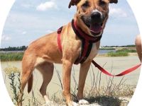 SUNNY - DER NAME IST PROGRAMM! (mit Video!)