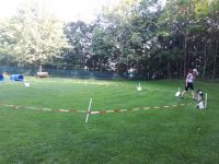 Rally Longieren - Hundeschule Amperland