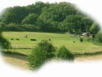 Hundesportverein am Goldberg e.V.