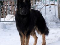 vom Ostdeutschen Eck