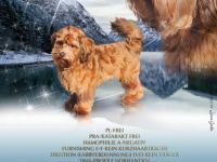 Soulmate´s Perfekt red Luke