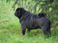 Little Lions moments with Mattis