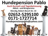 Hundepension Pablo