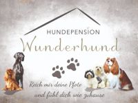 Pension Wunderhund , Hundepension