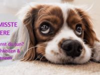 Online Vermisste Tiere Spezial Seminar