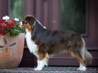 Weecks Secret Message Mason DNA-VP