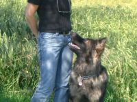 Hundepension Canis Lupus GbR