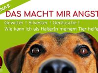 Das macht mir Angst ! Silvester, Gewitter u.a. 26.12.25