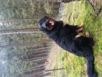 Ulan a.d. Schreckhäusl