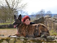 Dog Connection fairbindet