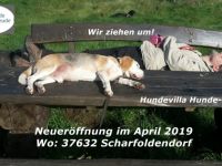 Villa Hunde Freude
