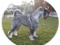 Cristobal vom Achterplätzchen