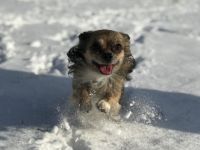 Akito aus Petra’s Babystube