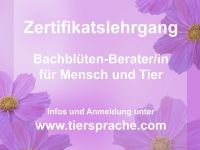 www.tiersprache.com - Weiterbildungen für Tierheilpraktiker und Tierhalter (weltweit)