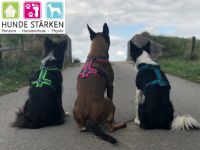 Hunde Stärken