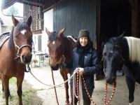 Tier Physio TCM Augsburg / Stuttgart