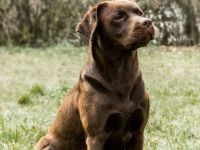 Friedensreich von der Oberwaide