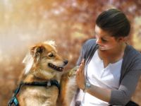 Ausbildung z. Hundetrainer*in & Hundeverhaltensberater*in