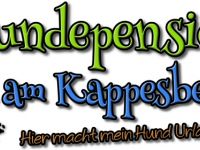 Hundepension am Kappesberg