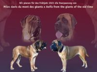 from the giants of the old time