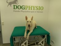 DogPhysio-Viersen