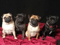 vom Cappenberger See