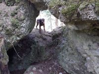 Hundewanderung Fränkische Schweiz