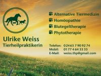 mobile Tierheilpraktikerin