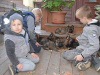 Wurfplanung für 2023 im Zwinger vom Bismarckschlösschen