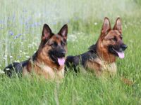 von der Claudinenburg