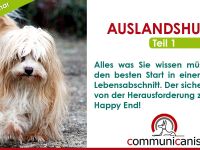 Das Geheimnis der Auslandshunde und der Weg zum Happy End ! (online 10.09.24)