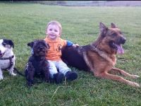 SV OG Untersiemau-Weißenbrunn e.V.