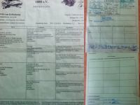 Willi von Kollenkamp