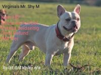 Virginia's Mr. Shy M