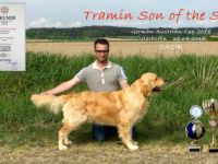 Tramin Son of the Sun