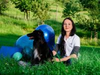 Tiertherapie Dresden - mobile Hundephysiotherapie & Tierheilpraxis