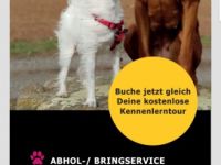 Leinenliesl Der Gassiservice