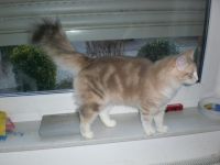 von der Gehlen Bieke