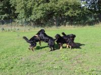 von den Keilbergwiesen